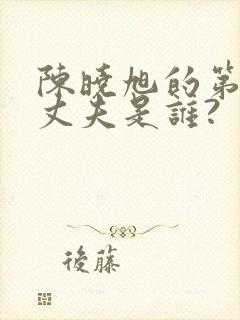 陈晓旭的第一任丈夫是谁?封面