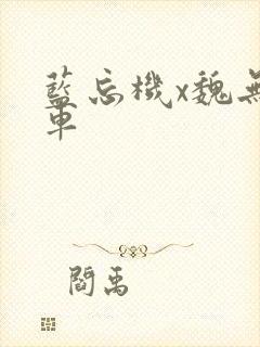 蓝忘机x魏无羡车封面