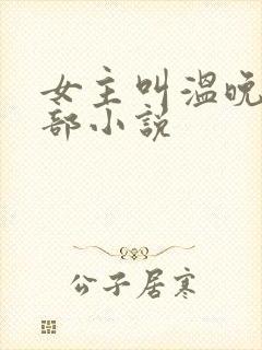 女主叫温晚的全部小说