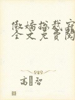 傲娇总裁宠上瘾全文免费阅读封面