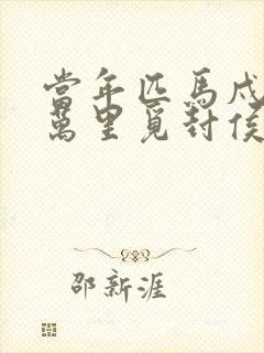 当年匹马戍梁州万里觅封侯