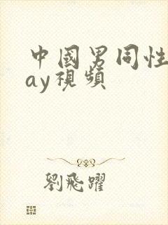 中国男同性恋gay视频封面