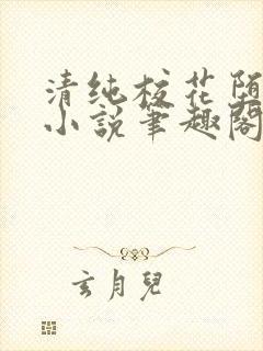 清纯校花堕落记小说笔趣阁