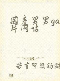 国产男男gay片网站