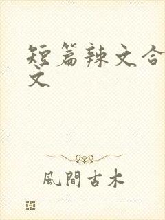 短篇辣文合集h文