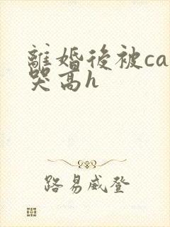 离婚后被cao哭高h