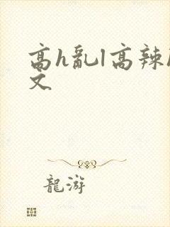 高h乱l高辣h文