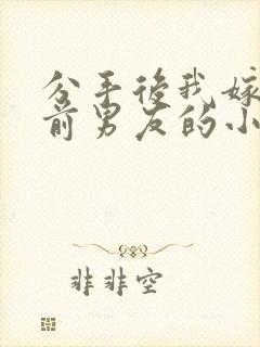 分手后我嫁给了前男友的小叔