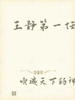 王静第一任丈夫