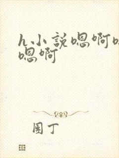 h小说嗯啊嗯啊嗯啊