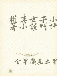 权奕世子小说原著小说叫什么名字啊