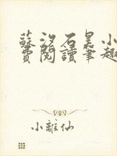 苏汐石昊小说免费阅读笔趣阁