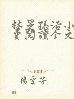 林曼孙浩小说免费阅读全文最新章节