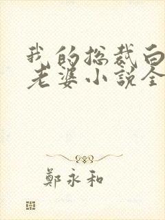 我的总裁白富美老婆小说全集完整版