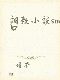 调教小说sm重口封面