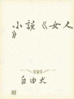 小说《女人如雾》