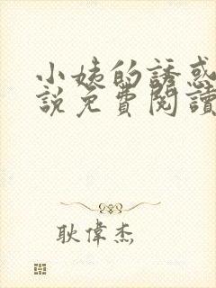 小姨的诱惑我小说免费阅读无弹窗