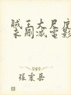 贼王大尺度做爰未删减电影