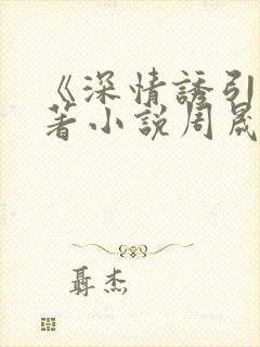 《深情诱引》原著小说周晟安结局