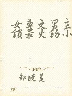 女尊文男主戴贞锁最火的小说封面