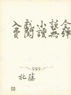 入戏小说全文免费阅读无弹窗