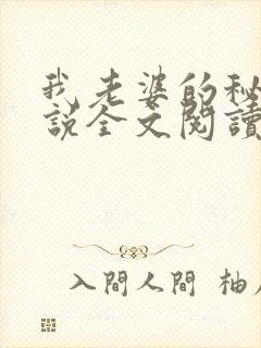 我老婆的秘密小说全文阅读