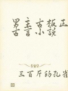 男主古板正经的古言小说封面