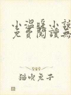 小温暖小说全文免费阅读无弹窗