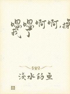 嗯嗯啊啊,操死我了