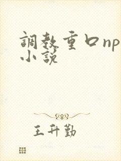 调教重口np文小说