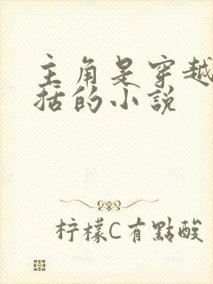 主角是穿越成赵括的小说