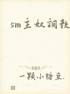 sm主奴调教文