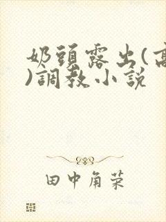 奶头露出(高h)调教小说封面