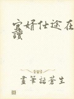 官婿仕途在线阅读