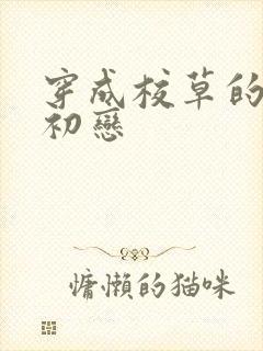 穿成校草的炮灰初恋