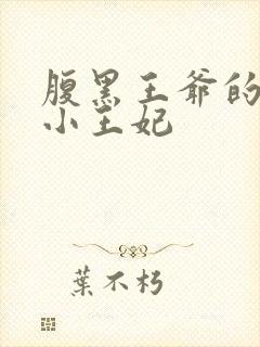 腹黑王爷的萌宠小王妃封面