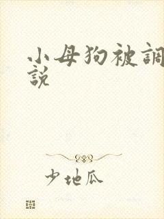 小母狗被调教小说