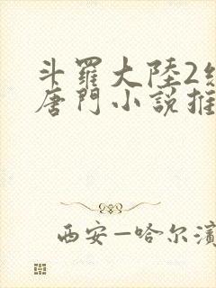 斗罗大陆2绝世唐门小说推荐