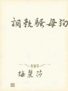 调教骚母狗vk