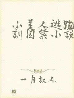 小美人逃跑被教训囚禁小说封面