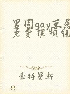 男同gay互慰免费视频观看封面