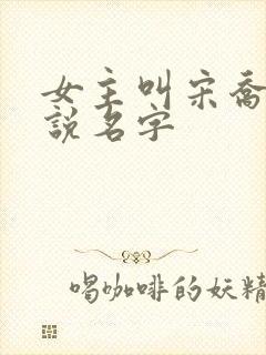 女主叫宋乔的小说名字