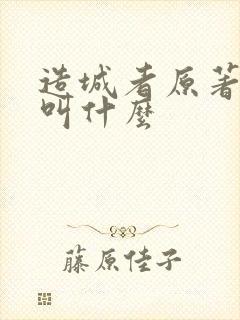 造城者原著小说叫什么