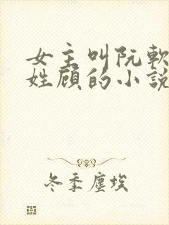 女主叫阮软男主姓顾的小说