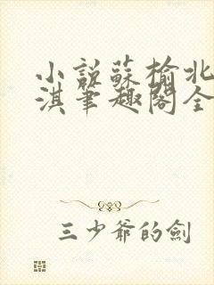 小说苏榆北高梓淇笔趣阁全文封面