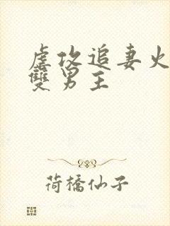 虐攻追妻火葬场双男主