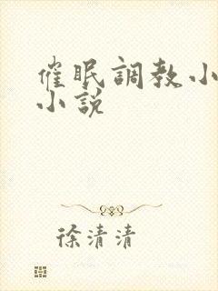 催眠调教小美人小说封面