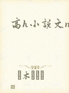 高h小说文np