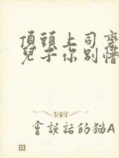 顶头上司变后妈儿子你别懵小说封面