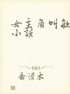 女主角叫敏敏的小说